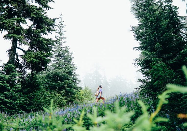 A woman carrying a bag walking through a foggy forest.